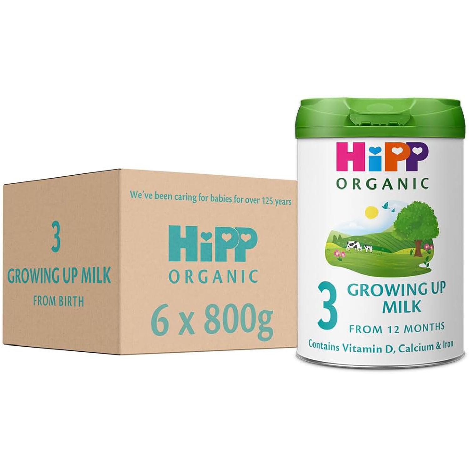 HiPP Organic 3 Growing Up Baby Milk Powder Formula, 800g (Pack of 6)